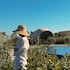 vari voula vouliagmeni
