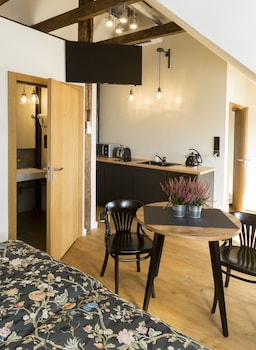 antique apartments plac szczepanski