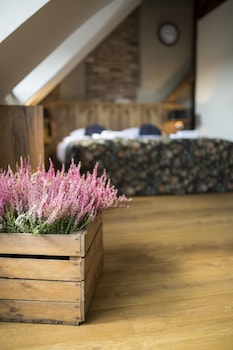 antique apartments plac szczepanski