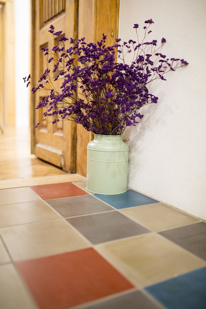 antique apartments plac szczepanski