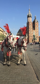 antique apartments plac szczepanski