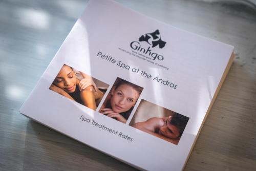 the andros boutique hotel