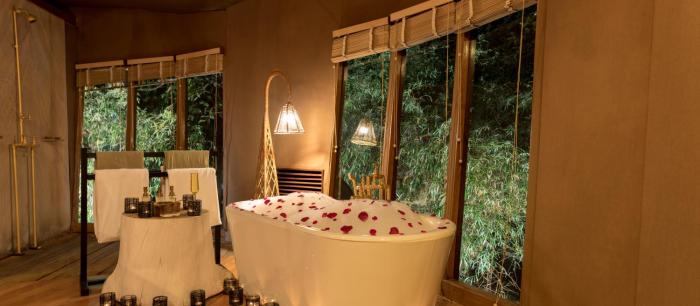 banjaar tola kanha national park