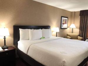 Americinn By Wyndham Casper Event Center Area,Natrona County>>Casper,3 star