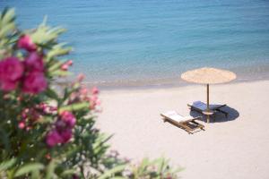elissa adults only lifestyle beach resort