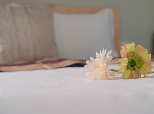 bnb98 silom