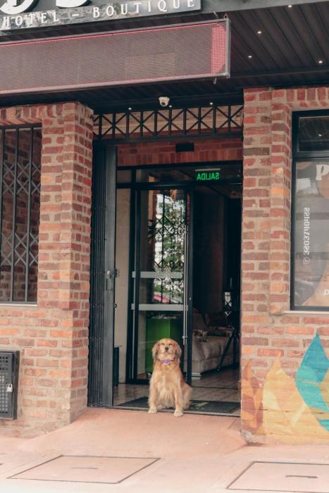 bunde haus hotel boutique express