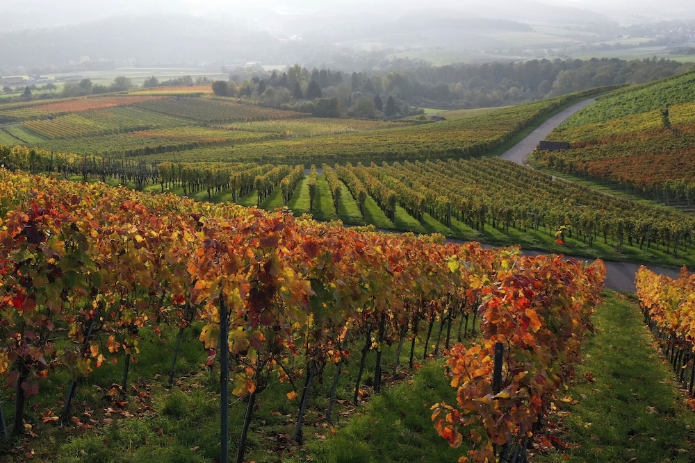 landidyll hotel lamm