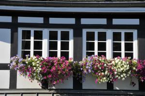 hotel haus hochstein