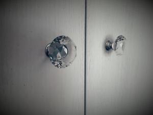 la compagnia del viaggiatore