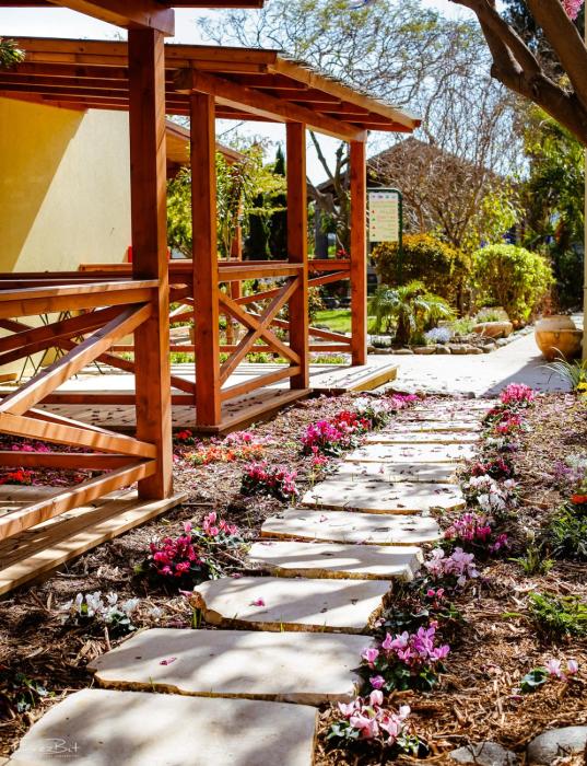 shaar hagolan kibbutz country lodging