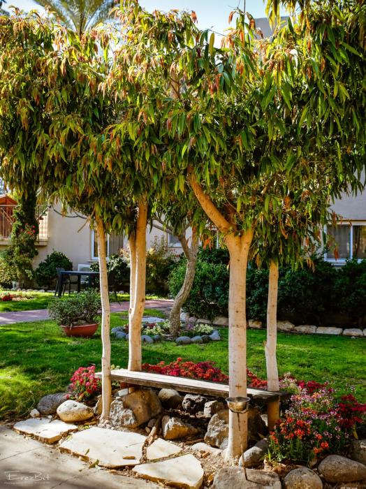 shaar hagolan kibbutz country lodging