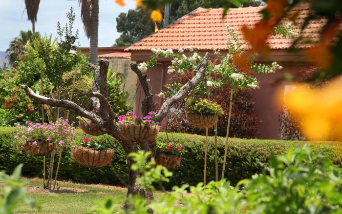 shaar hagolan kibbutz country lodging
