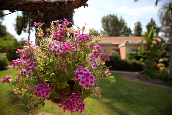 shaar hagolan kibbutz country lodging