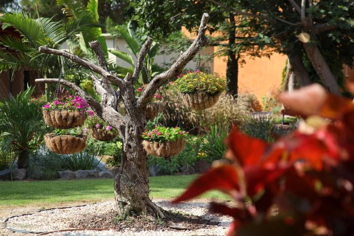 shaar hagolan kibbutz country lodging