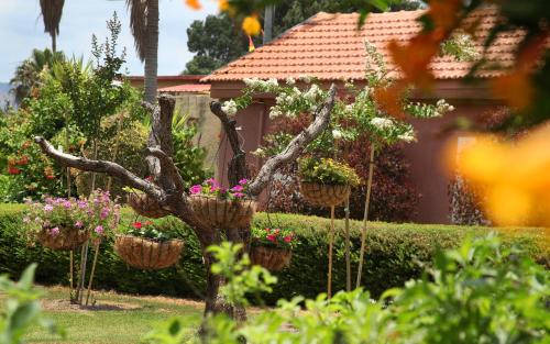 shaar hagolan kibbutz country lodging