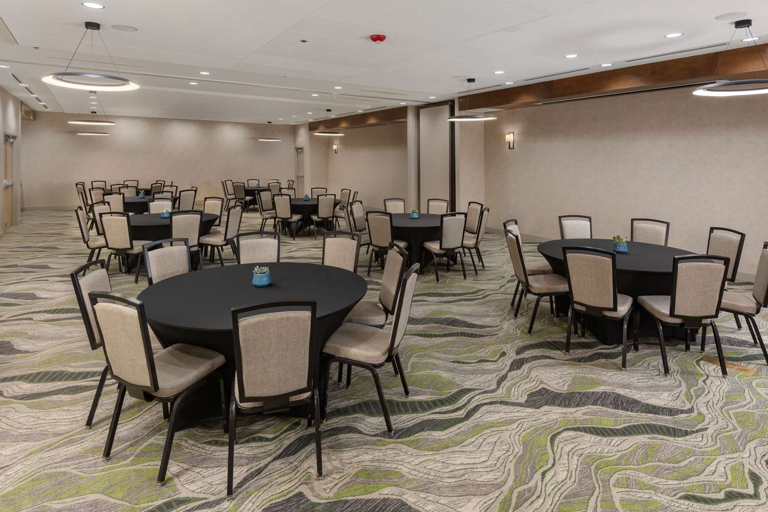 doubletree by hilton phoenix chandler