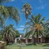 arapey oasis termal