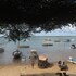 lamu