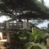 kijani hotel