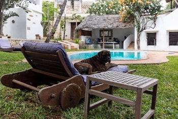lamu