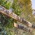 nrma murramarang beachfront holiday resort