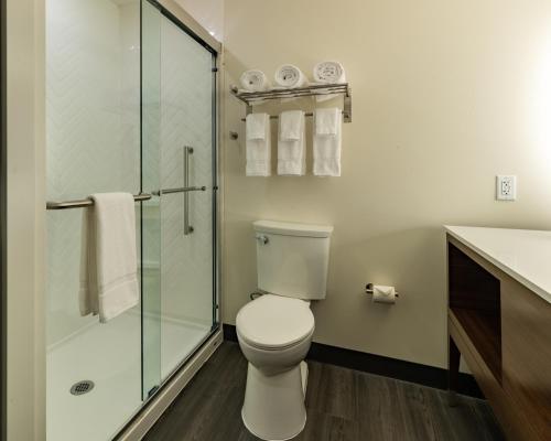 holiday inn and suites atlanta n chamblee dunwoody