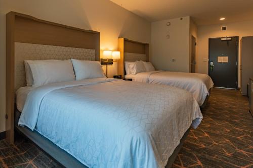 holiday inn and suites atlanta n chamblee dunwoody