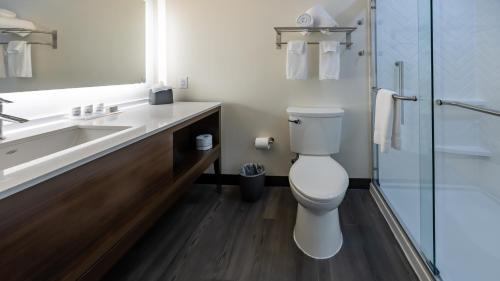 holiday inn and suites atlanta n chamblee dunwoody
