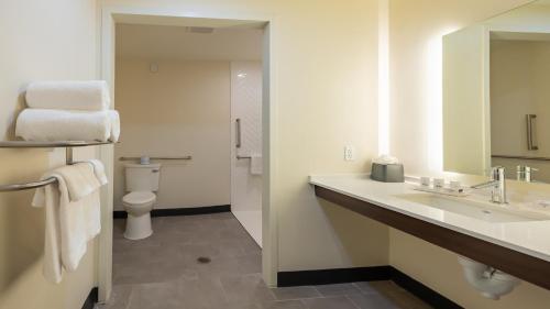 holiday inn and suites atlanta n chamblee dunwoody