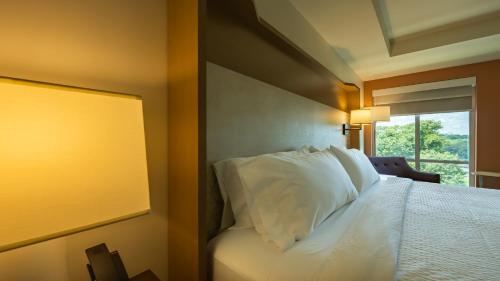 holiday inn and suites atlanta n chamblee dunwoody