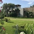 lecci