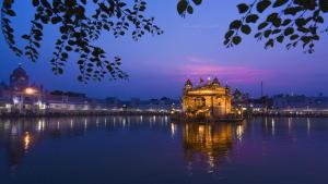 Madpackers Amritsar,,4 star