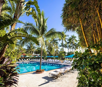 the palms hotel and spa