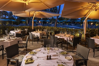 the palms hotel and spa