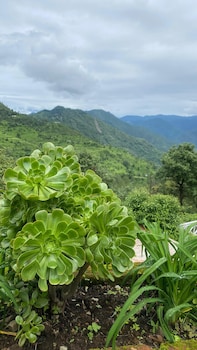 luxsugero cottages premium