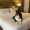 ac hotel by marriott santa fe