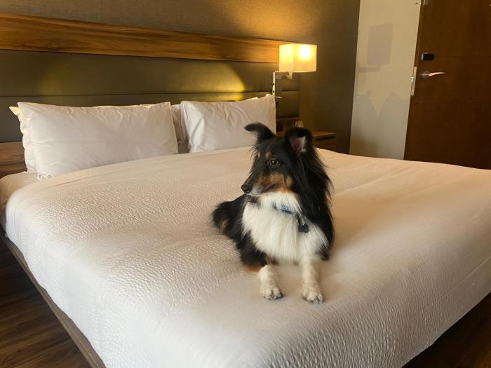 ac hotel by marriott santa fe