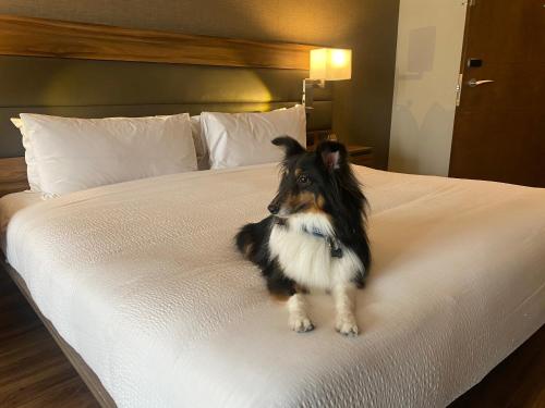 ac hotel by marriott santa fe