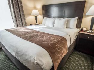 comfort suites orlando airport