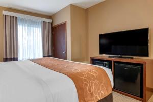 comfort suites orlando airport
