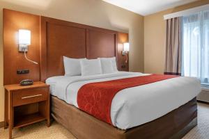 comfort suites orlando airport