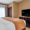 comfort suites orlando airport