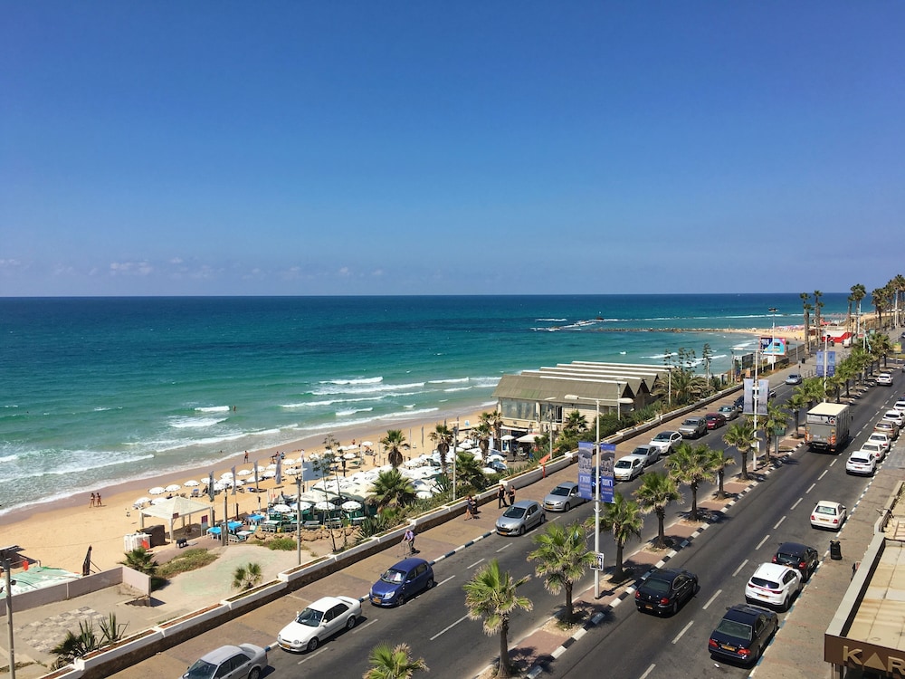 bat yam
