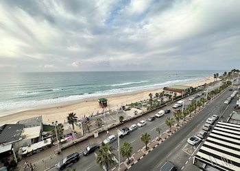 bat yam