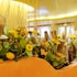 hotel oasis
