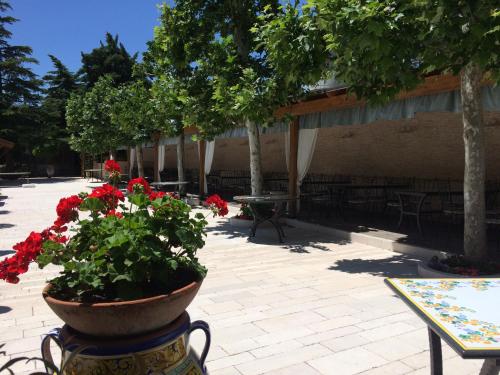hotel parco delle rose