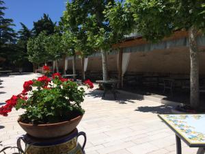 hotel parco delle rose