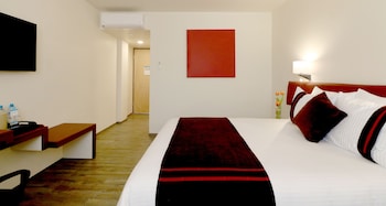 mision express san luis potosi