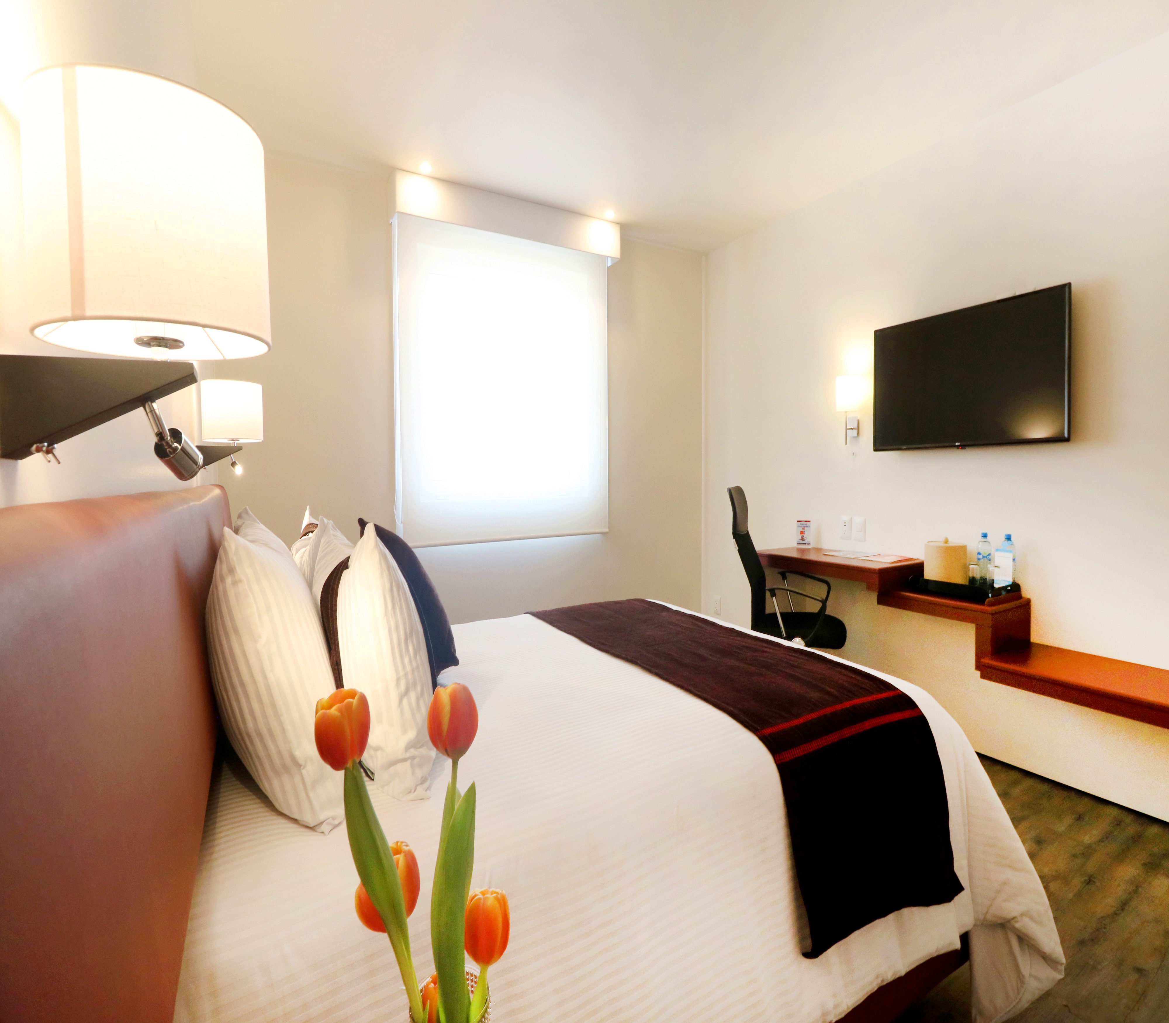 mision express san luis potosi